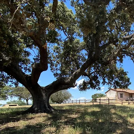 Eco-lodge En La Reserva Privada Campanarios De Azaba - Proyecto De Conservacion Espeja