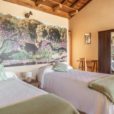 Eco-lodge En La Reserva Privada Campanarios De Azaba - Proyecto De Conservación Espeja