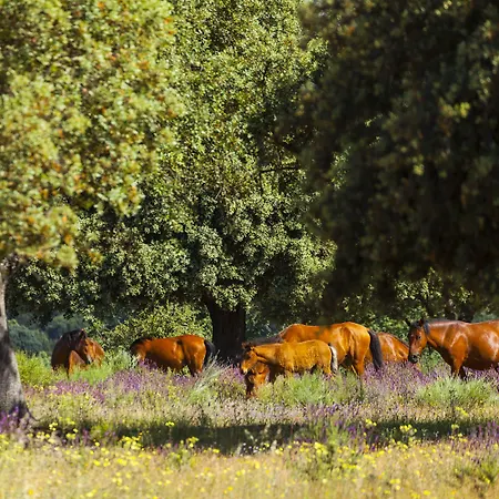 Eco-lodge En La Reserva Privada Campanarios De Azaba - Proyecto De Conservacion Espeja