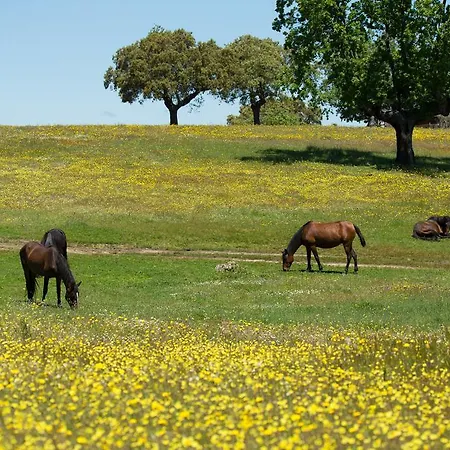 Eco-lodge En La Reserva Privada Campanarios De Azaba - Proyecto De Conservacion Espeja