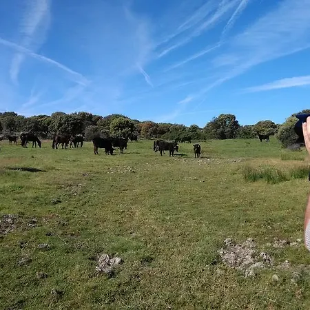 Eco-lodge En La Reserva Privada Campanarios De Azaba - Proyecto De Conservación *