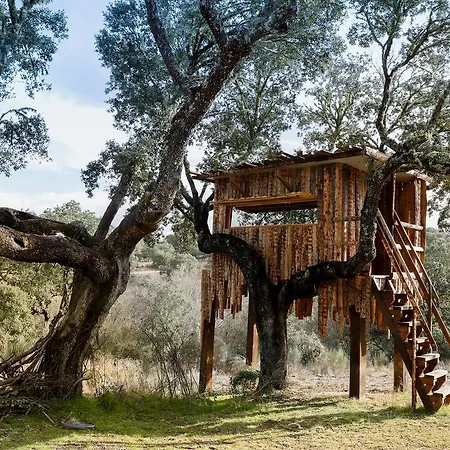 컨트리하우스 Eco-lodge En La Reserva Privada Campanarios De Azaba - Proyecto De Conservacion