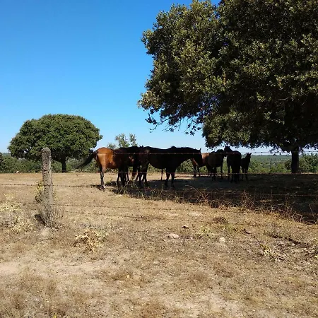 컨트리하우스 Eco-lodge En La Reserva Privada Campanarios De Azaba - Proyecto De Conservacion Espeja