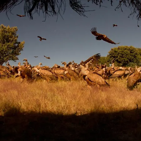 Eco-lodge En La Reserva Privada Campanarios De Azaba - Proyecto De Conservacion Espeja