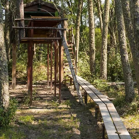 Casa de Campo Eco-lodge En La Reserva Privada Campanarios De Azaba - Proyecto De Conservación *