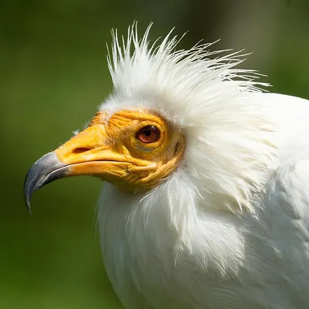 Eco-lodge En La Reserva Privada Campanarios De Azaba - Proyecto De Conservación