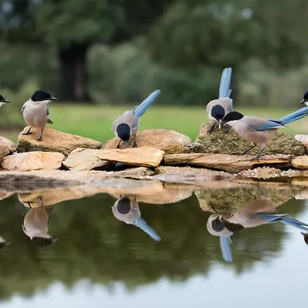 Eco-lodge En La Reserva Privada Campanarios De Azaba - Proyecto De Conservación Casa de Campo *