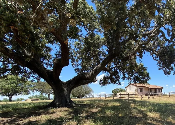 Eco-lodge En La Reserva Privada Campanarios De Azaba - Proyecto De Conservacion Espeja