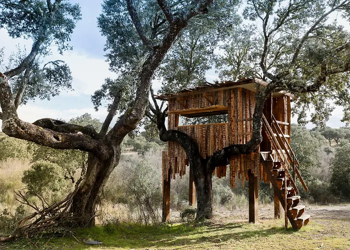 Eco-lodge En La Reserva Privada Campanarios De Azaba - Proyecto De Conservacion *