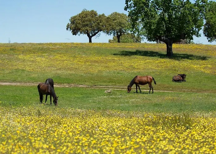 Eco-lodge En La Reserva Privada Campanarios De Azaba - Proyecto De Conservacion Espeja