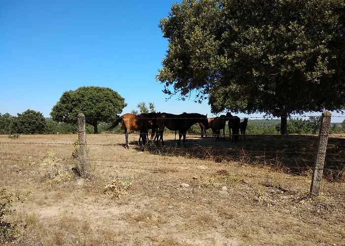 منزل ريفي Eco-lodge En La Reserva Privada Campanarios De Azaba - Proyecto De Conservacion Espeja