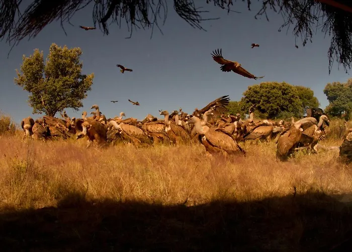 Eco-lodge En La Reserva Privada Campanarios De Azaba - Proyecto De Conservacion Espeja