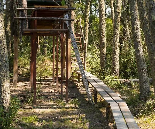 منزل ريفي Eco-lodge En La Reserva Privada Campanarios De Azaba - Proyecto De Conservacion *