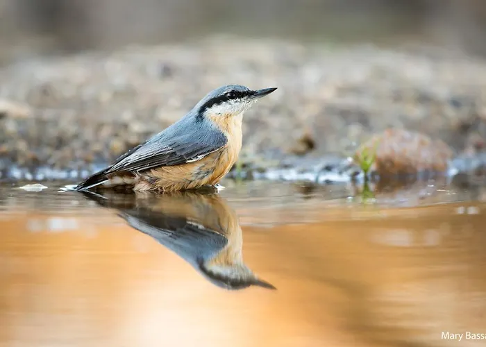 Eco-lodge En La Reserva Privada Campanarios De Azaba - Proyecto De Conservacion منزل ريفي *