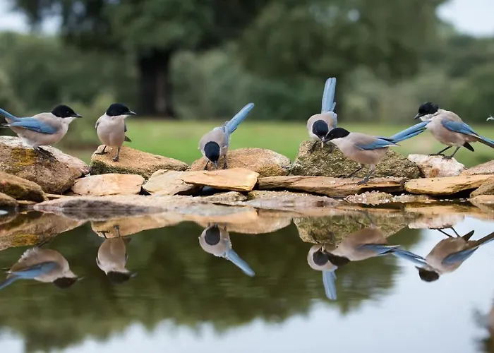 Eco-lodge En La Reserva Privada Campanarios De Azaba - Proyecto De Conservacion منزل ريفي *
